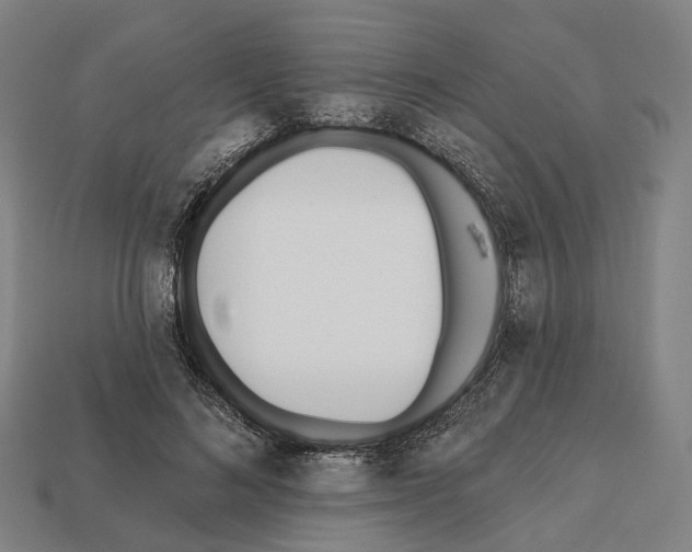 X0000112540692200909281059