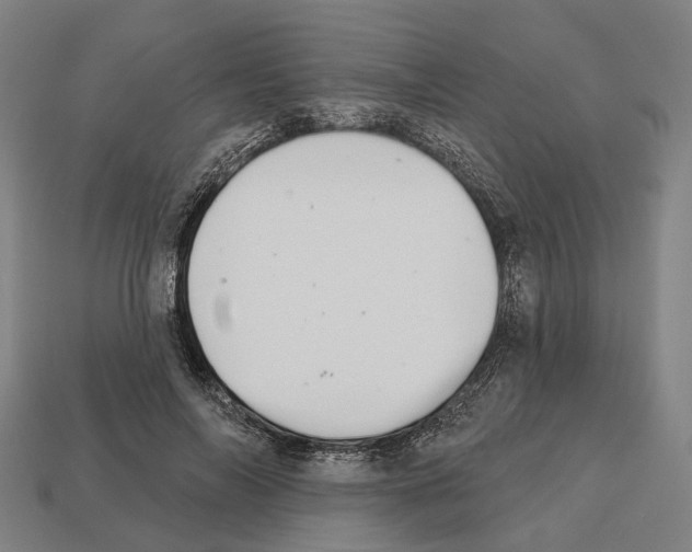 X0000112540694200909281059