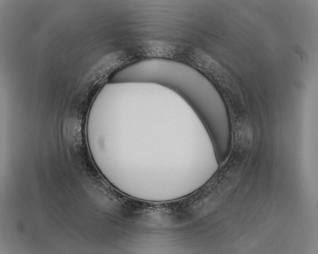 X0000112540696200909281059
