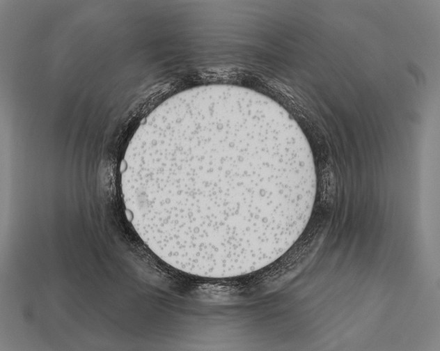 X0000112540699200909281059