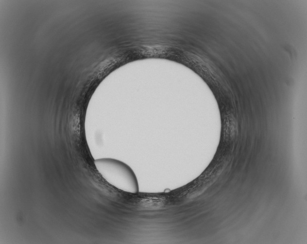 X0000112540700200909281059