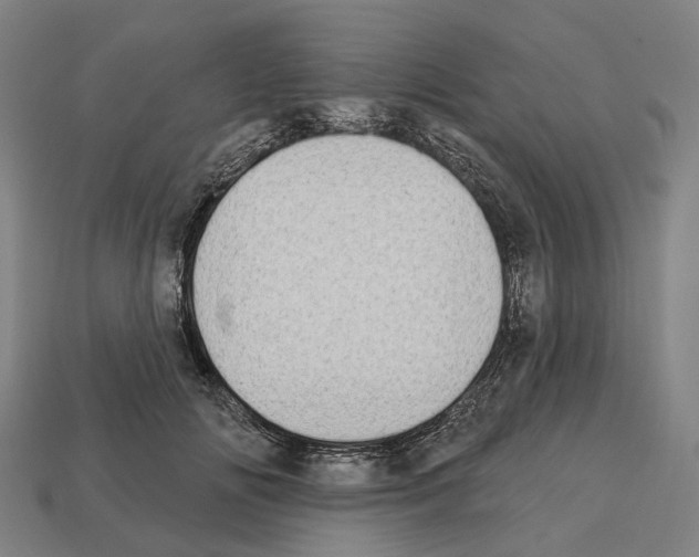 X0000112540702200909281059