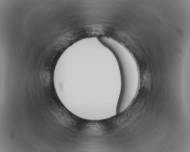 X0000112540704200909281059