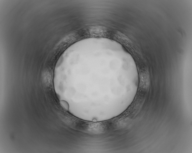 X0000112540705200909281059