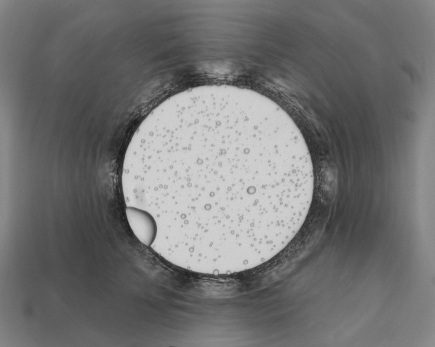 X0000112540707200909281059