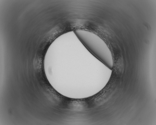 X0000112540708200909281059