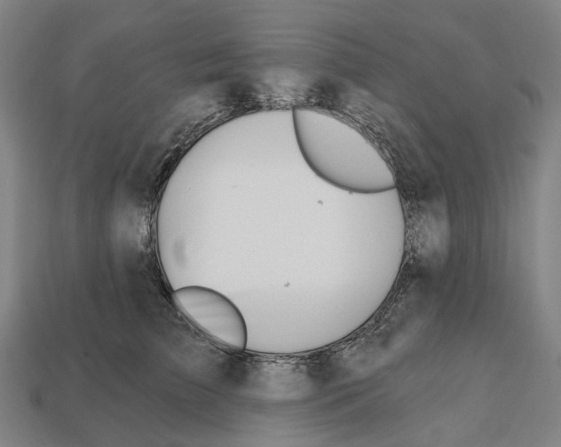 X0000112540709200909281059