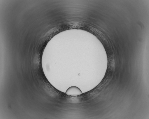 X0000112540710200909281059