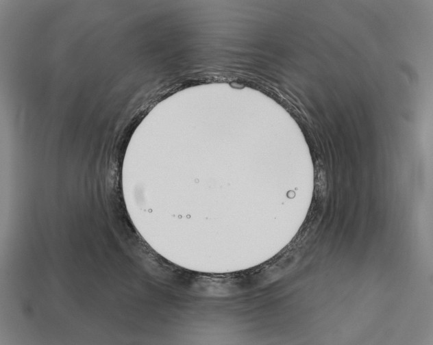 X0000112540713200909281059