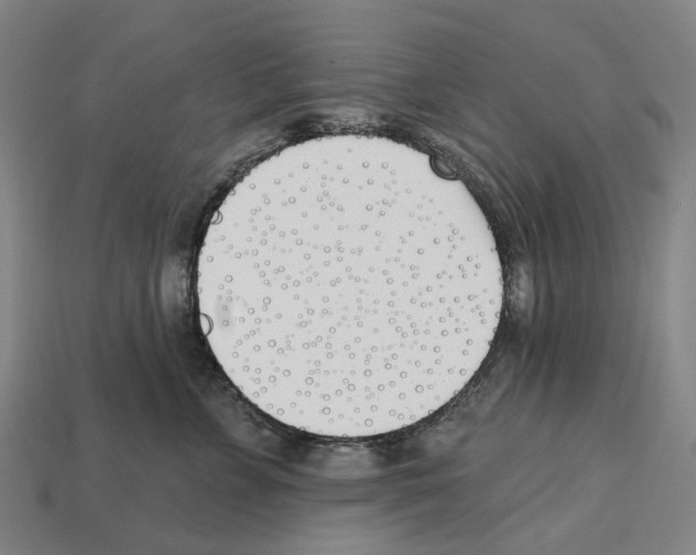 X0000112540715200909281059