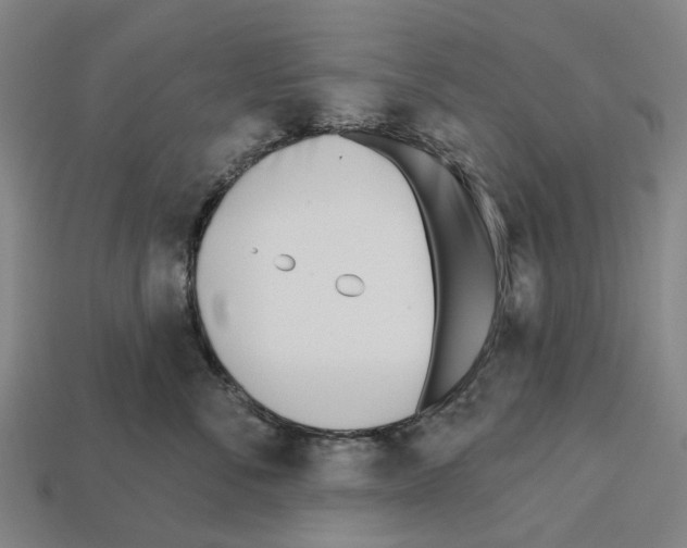 X0000112540716200909281059
