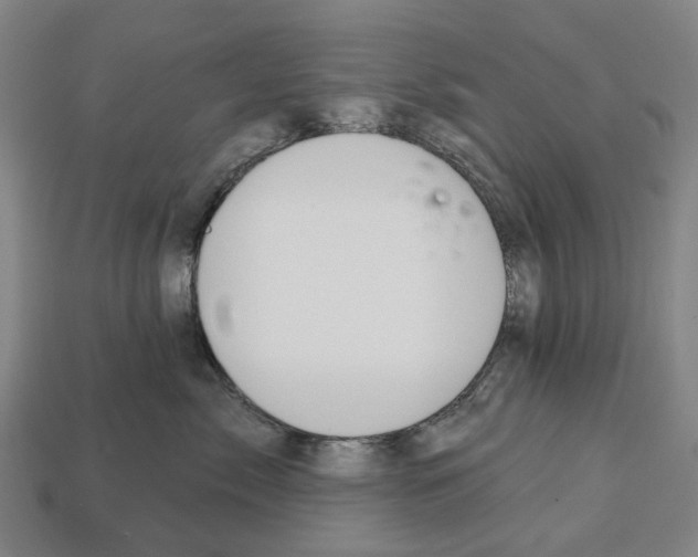 X0000112540717200909281059