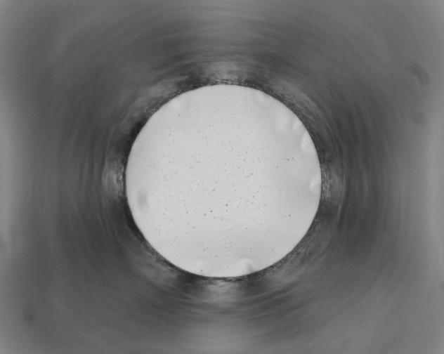 X0000112540718200909281059