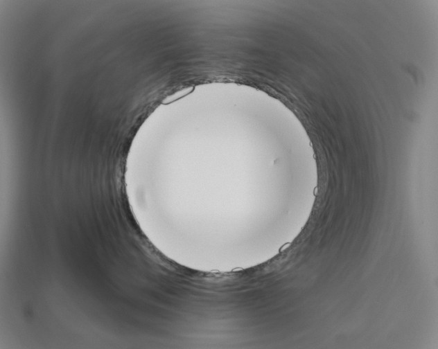 X0000112540720200909281059