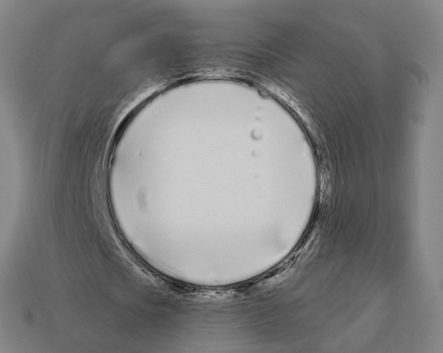 X0000112540721200909281058