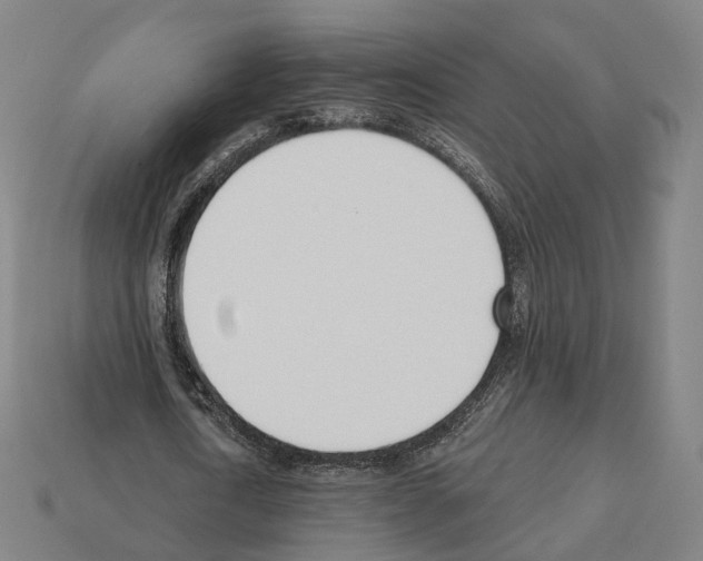 X0000112540722200909281058