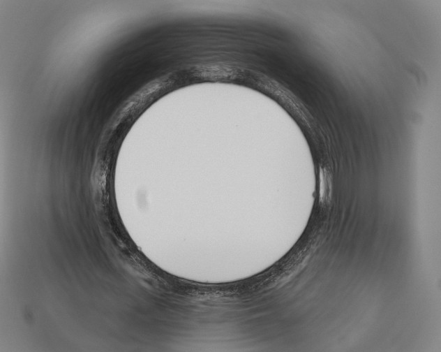 X0000112540723200909281058