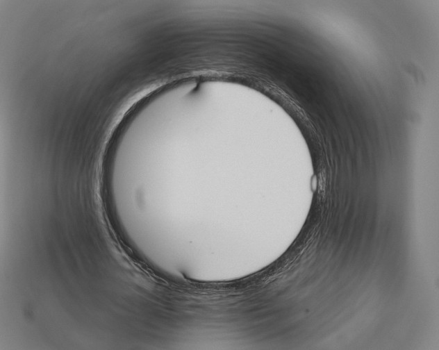 X0000112540724200909281058