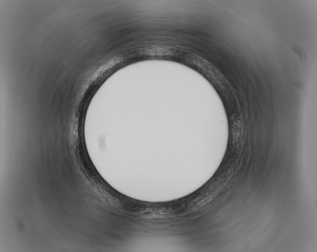 X0000112540727200909281059
