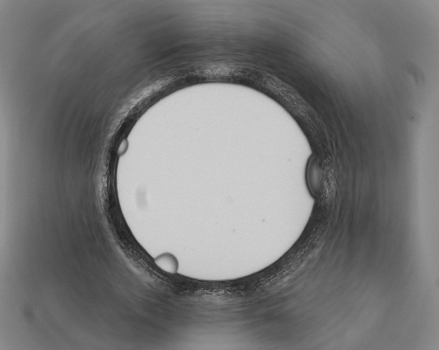 X0000112540728200909281059