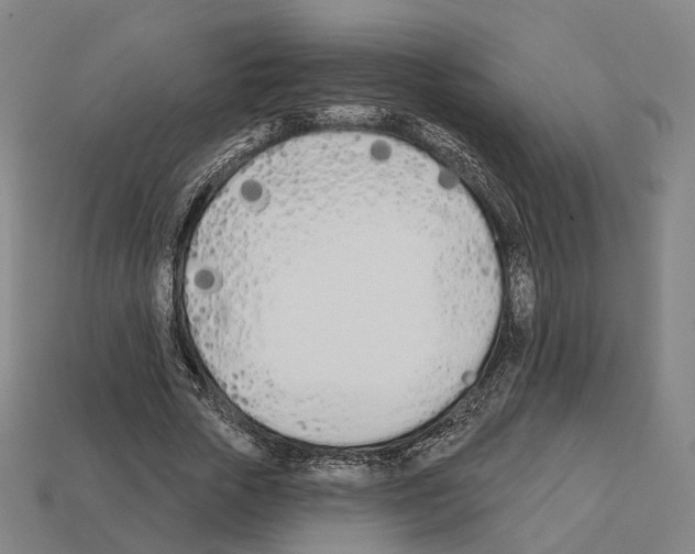 X0000112540729200909281059