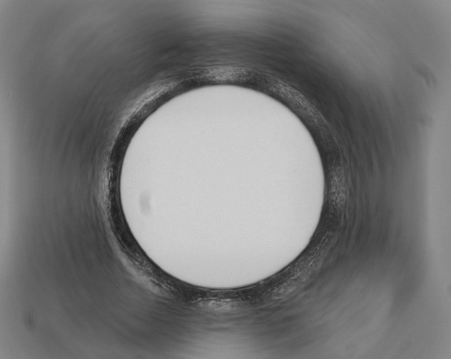 X0000112540730200909281059