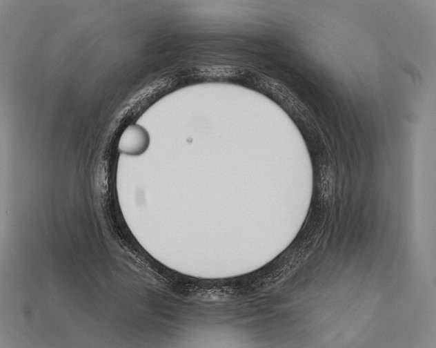 X0000112540731200909281059
