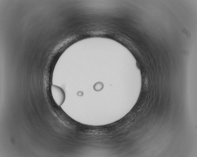 X0000112540732200909281059