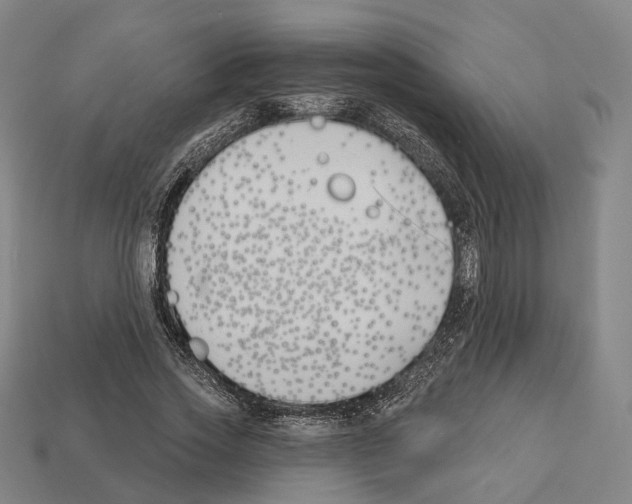 X0000112540733200909281059