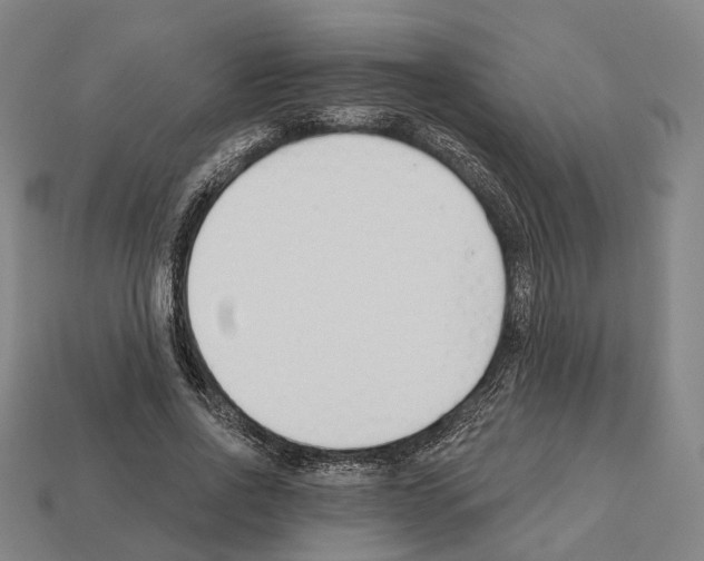 X0000112540734200909281059