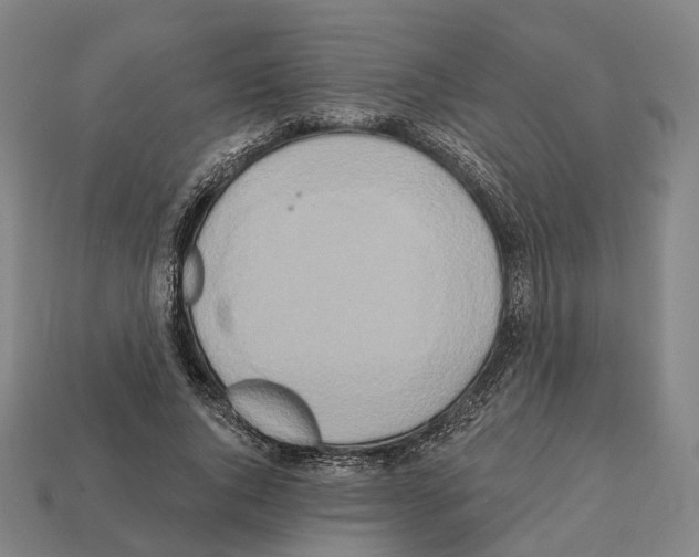 X0000112540736200909281059