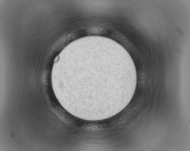 X0000112540738200909281059