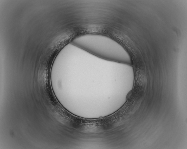 X0000112540740200909281059