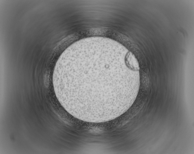 X0000112540741200909281059
