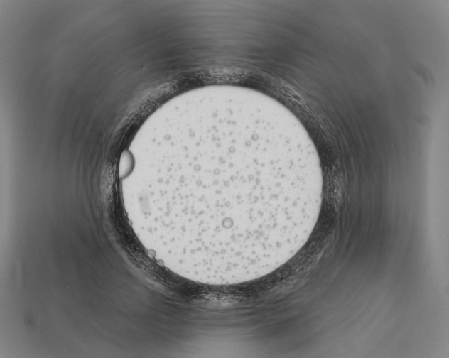 X0000112540742200909281059