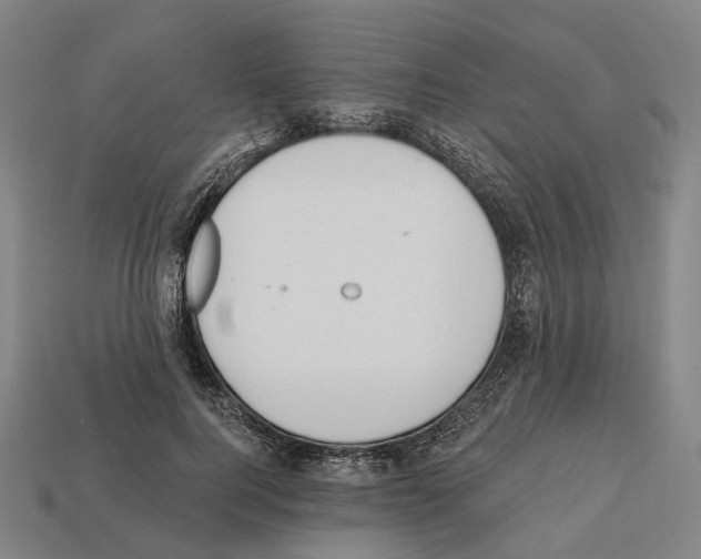 X0000112540744200909281059