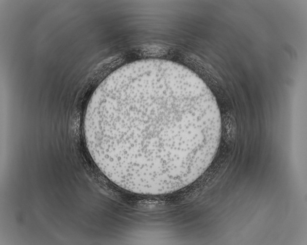 X0000112540745200909281059