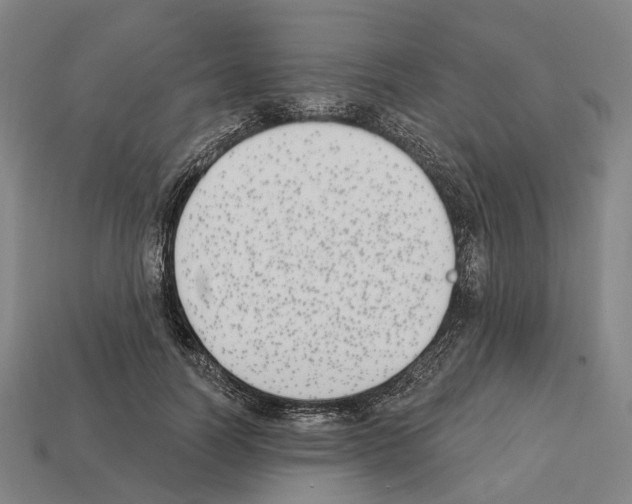 X0000112540746200909281059