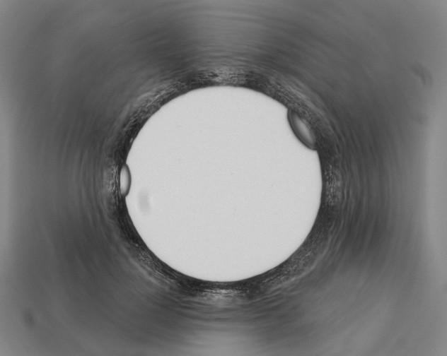 X0000112540748200909281059