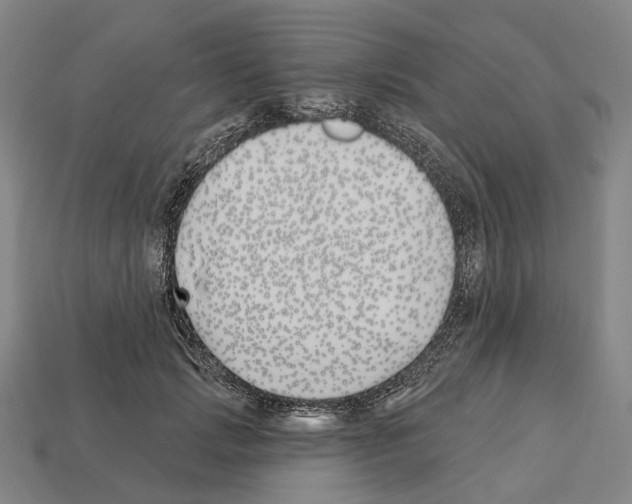 X0000112540749200909281059