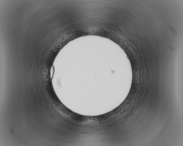 X0000112540750200909281059