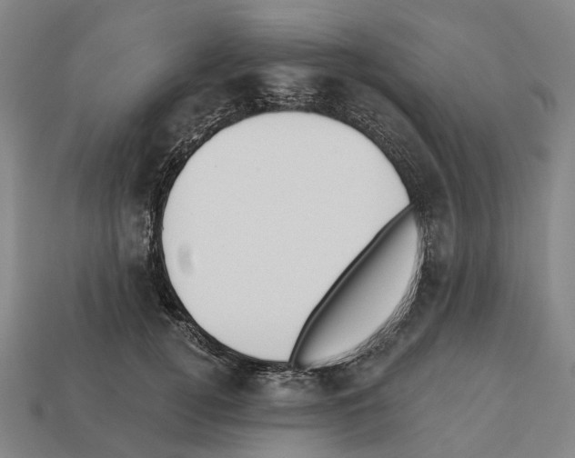 X0000112540752200909281059
