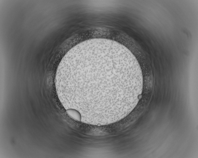 X0000112540753200909281059