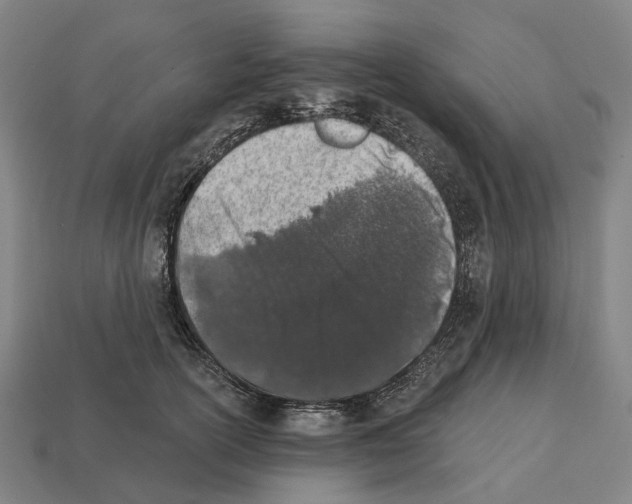 X0000112540754200909281059