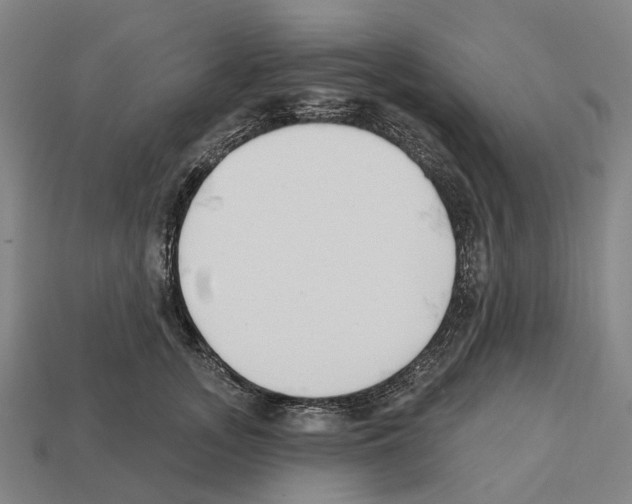 X0000112540755200909281059
