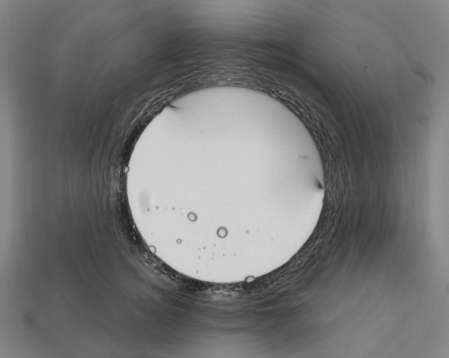 X0000112540756200909281059