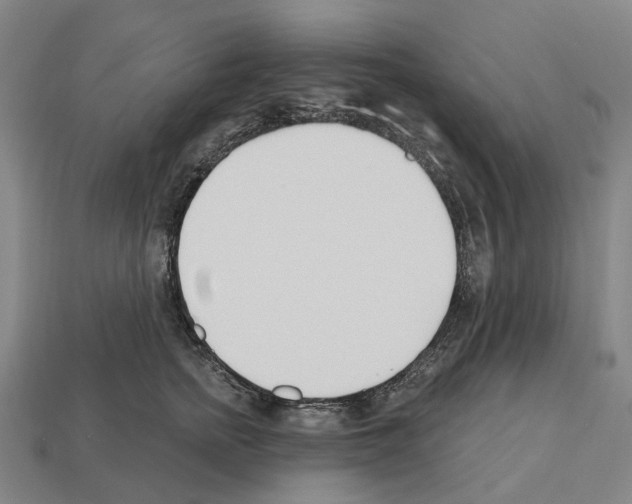 X0000112540758200909281059