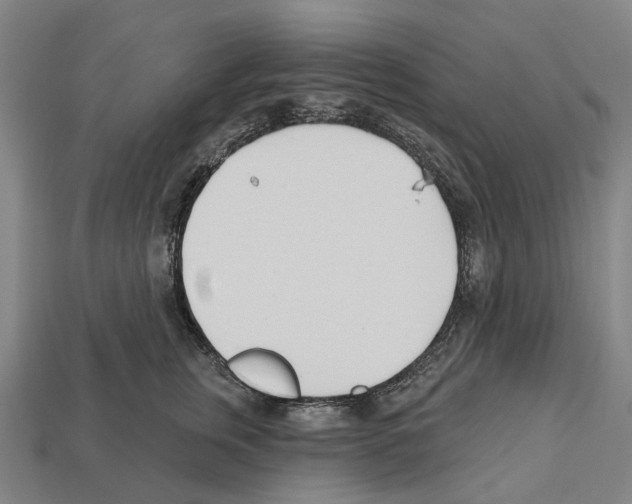 X0000112540759200909281059