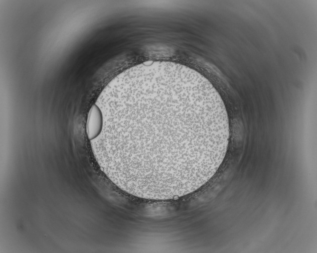 X0000112540761200909281059
