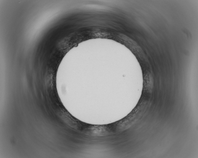 X0000112540762200909281059